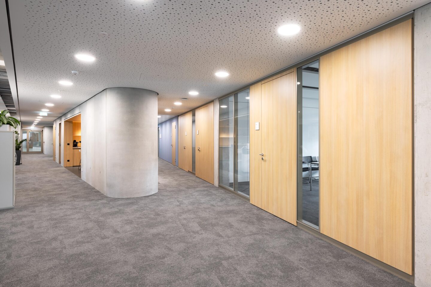 Entega Darmstadt | System walls and glass walls