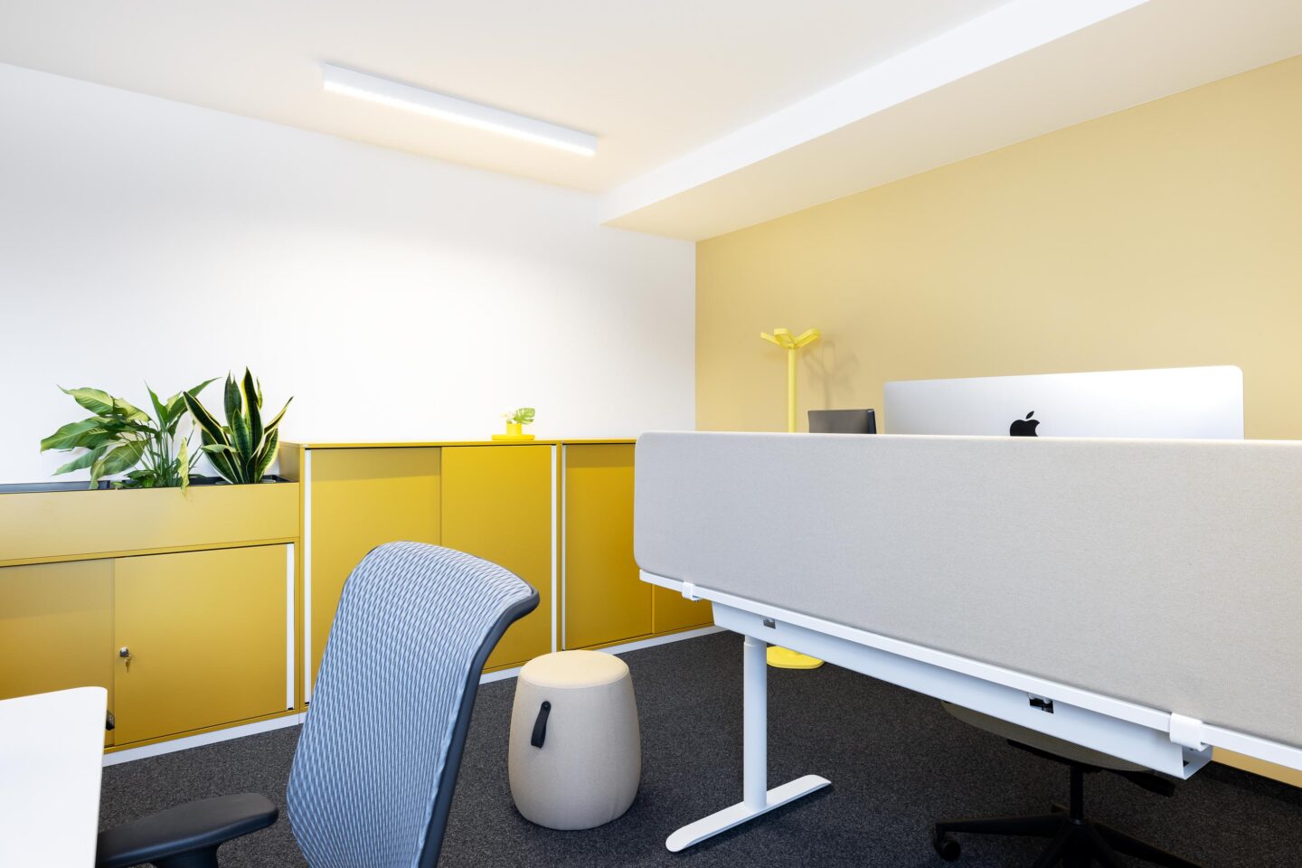 Nomos Baden-Baden | Modern working environment with coordinated colour and lighting concept.